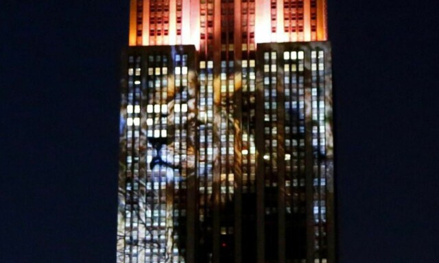 Løven Cecil lyste opp Empire State Building